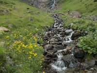 F, Ariege, Couflens, Cirque d Anglade 17, Saxifraga-Willem van Kruijsbergen